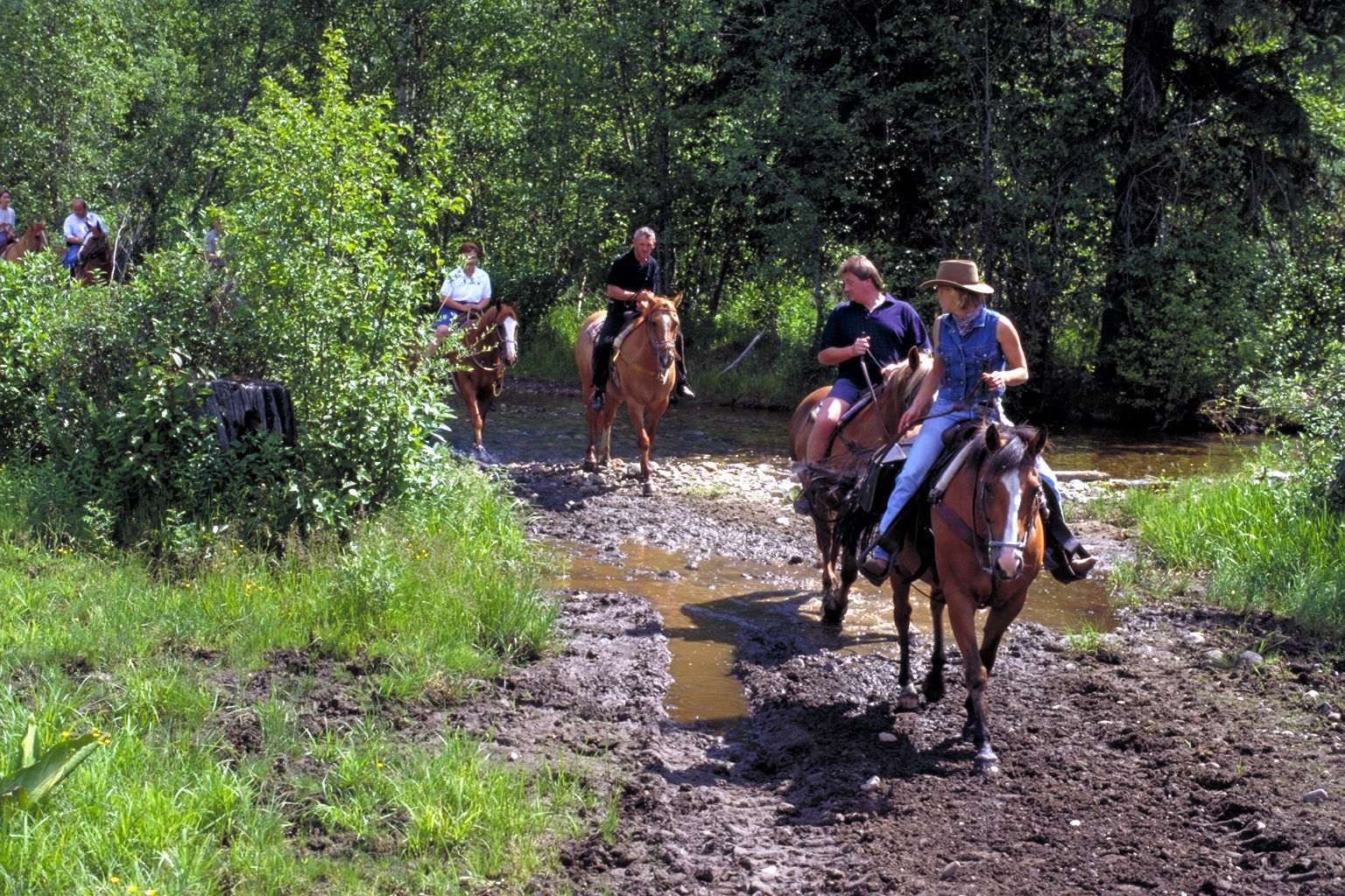 Wells Gray Guest Ranch Hotel Clearwater Exterior photo